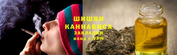 крисы Гусь-Хрустальный