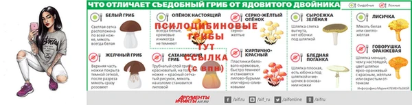 крисы Гусь-Хрустальный