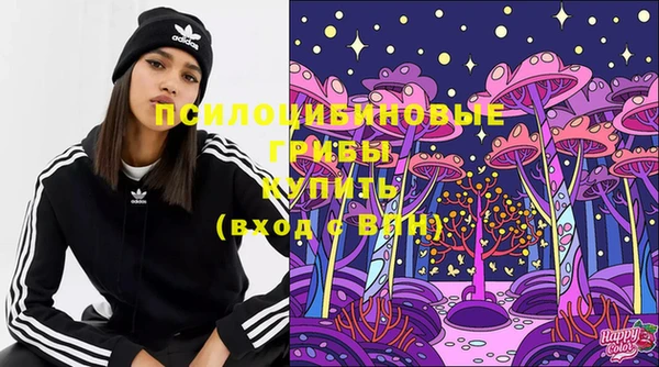 крисы Гусь-Хрустальный