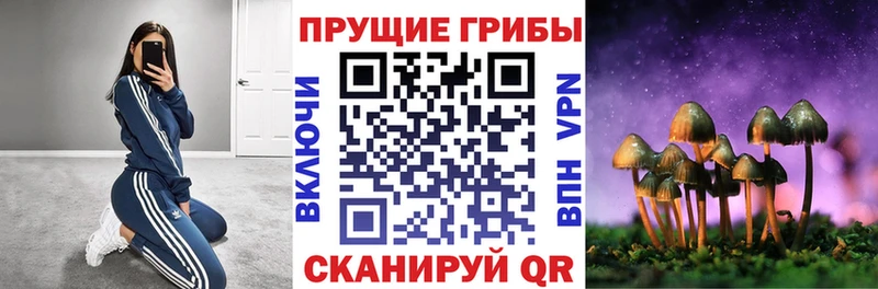 Галлюциногенные грибы мухоморы  Купить где  Петухово 